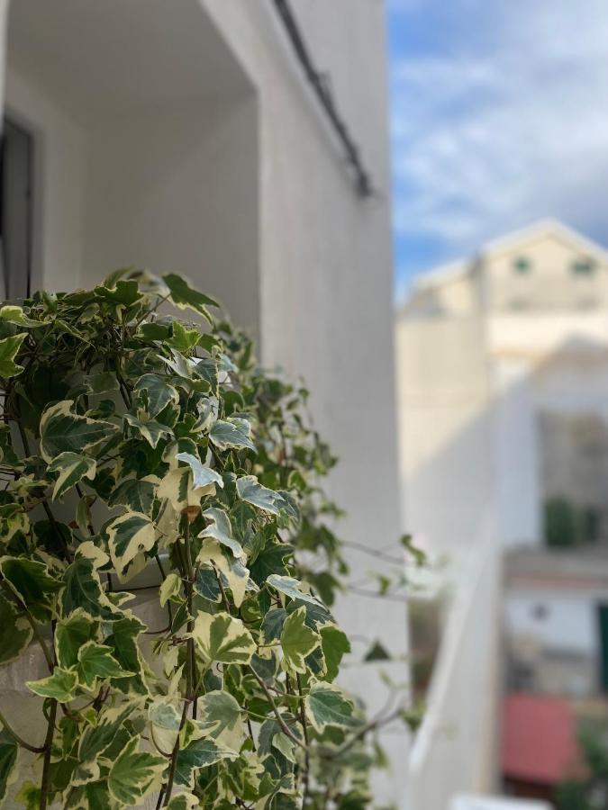 Viesterooms Exteriér fotografie
